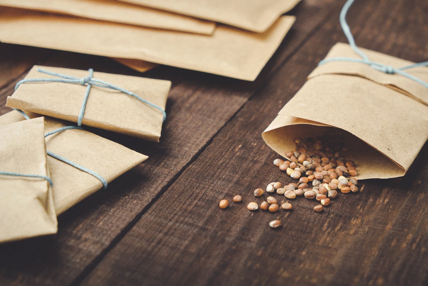 Paper bags with seeds for planting. Sprinkled radish seeds. Wooden table.